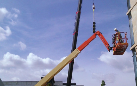 Image Not Found On Media Library