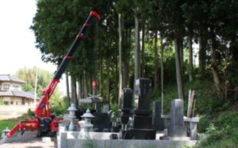 Image Not Found On Media Library